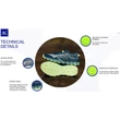 Mizuno Wave Daichi 7 női terepfutó cipő 2