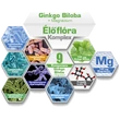 NICS probiotikus Ginko Biloba + Magnézium alkotó elemek