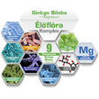 NICS probiotikus Ginko Biloba + Magnézium alkotó elemek