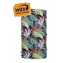  WDX dasilva csosal 1165-1