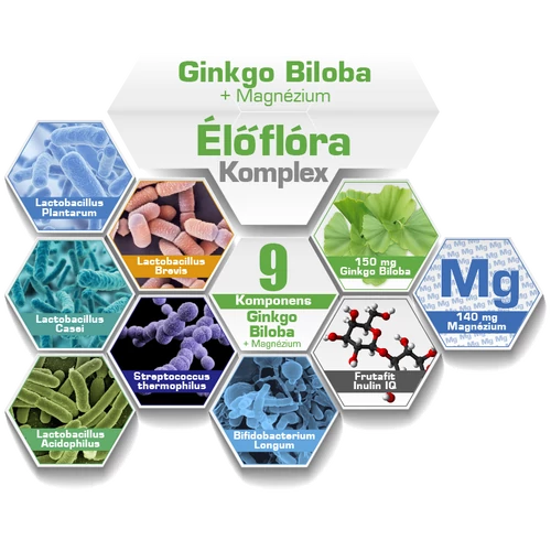 NICS probiotikus Ginko Biloba + Magnézium alkotó elemek